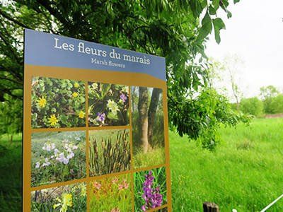 panneau de signalétique des fleurs du marais